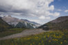 To Ouray - Imogene Pass - Tater.jpg
