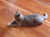 DSC02821.jpg