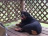 20180723_174237.jpg