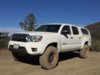 taco Saddleback1.jpg