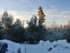 20181216_073703_HDR.jpg