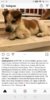 Screenshot_20190215-081157.jpg