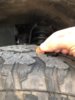 tire3.jpg