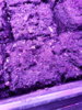 20190405_185440.jpg