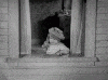 download (1).gif
