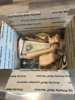 F9928EFD-CE0D-4852-85DB-8BAC075C9E21.jpg