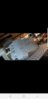 Screenshot_20190820-214331_Messenger.jpg
