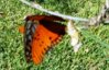 20161029_140034.jpg