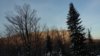 20181115_071229.jpg