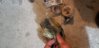 20191003_205603.jpg