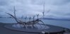 20191020_042157.jpg