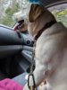 MVIMG_20190430_133108.jpg
