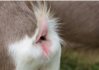 lips.jpg