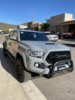 TacoPich_Trd-Pro-Grill.jpg