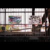 CA25860A-FD6C-4B26-952E-1CA7C41E5D2A.jpg