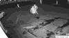 37DED60D-09C6-43ED-AA51-38F15E8B366B.gif