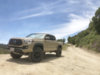 Taco_1N09_1.jpg