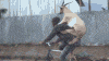 upload_2020-7-13_22-47-23.gif