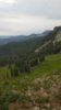20200716_070353.jpg