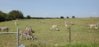 20200907_155240.jpg