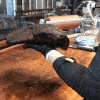 2E497006-C163-4FF3-B641-6F3BDD1D4835.gif