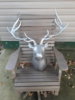 20201020_180329.jpg