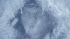 upload_2021-1-9_9-1-30.gif