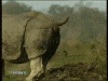 046E9FC8-AF0A-4D92-BF23-CED83E6E25F2.gif