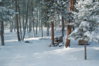 DSC_0015.jpg