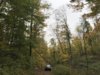 IMG-5243.jpg