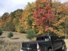 IMG-5255.jpg