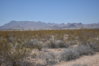 DSC_0343.jpg