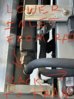 C1839308-0C9B-44B0-83E5-F30660A7FE1A.jpg