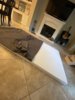 FACAFA4D-6028-41EF-94EF-E611C639A2C2.jpg
