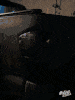 0.gif
