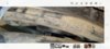 Screenshot_20230613_204935_Gallery.jpg