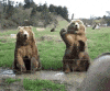 IMG_3269.gif
