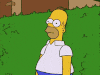 upload_2023-9-6_17-8-1.gif