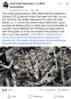 upload_2023-9-29_10-3-30.png