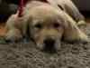 upload_2023-10-21_15-5-23.png