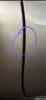 upload_2023-11-16_7-47-58.png