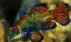 upload_2024-4-13_8-20-34.png