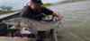Screenshot_20240520_173521_Video Player.jpg