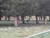 PXL_20241103_120557444.MP.jpg