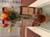 upload_2024-11-10_9-54-55.png