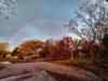 IMG_20241113_071740615_HDR~3.jpg