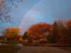 IMG_20241113_071723198~2.jpg