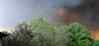 20250108_084356.jpg