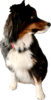 upload_2025-1-13_14-33-17.png
