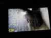 upload_2025-2-9_13-10-24.png